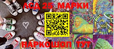 a pvp Новозыбков