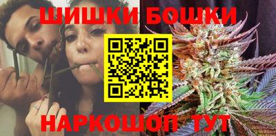a pvp Новозыбков
