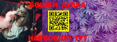 a pvp Новозыбков