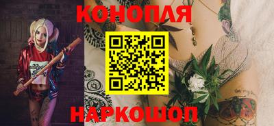 a pvp Новозыбков