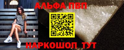 a pvp Новозыбков