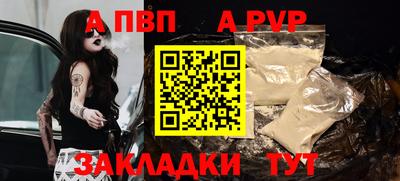 a pvp Новозыбков
